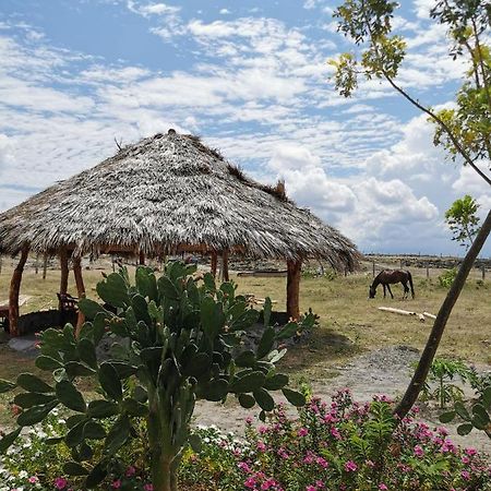 Pachingo Tatacoa Desert La Victoria (Huila) Exterior foto