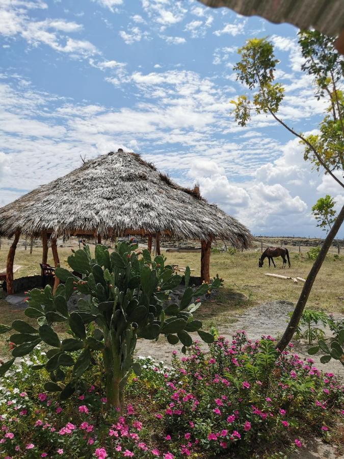 Pachingo Tatacoa Desert La Victoria (Huila) Exterior foto